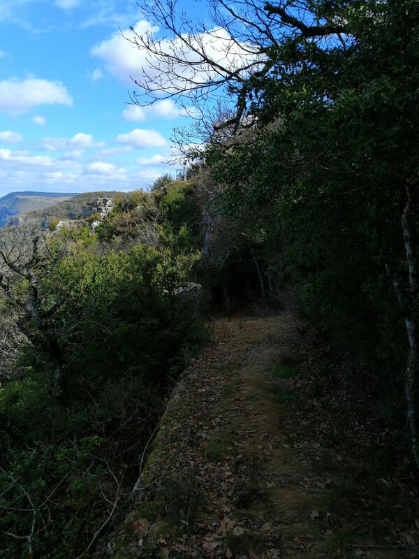 En approche des entrées de la grotte d'Issis, une fois le sentier trouvé