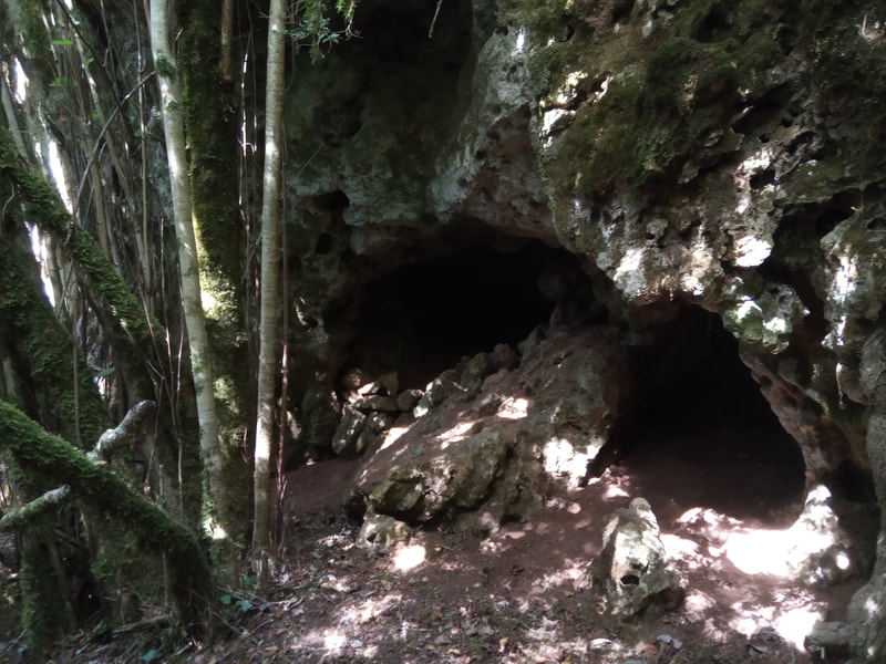 Deux yeux inquiétants vous surveillent à droite