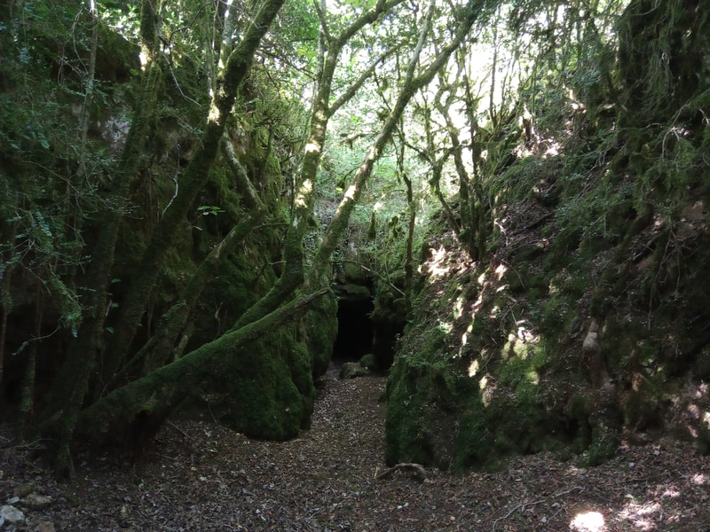 L'entrée de la grotte de la canole