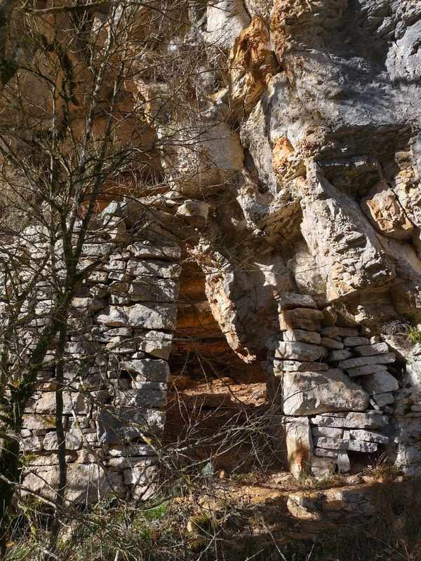 L'entrée cachée par un arbre